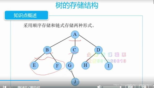 数据结构 树 基本概念 顺序存储 链式存储 树与二叉树之间转换